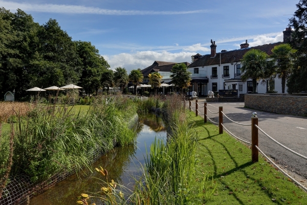 Hotel Frensham Pond